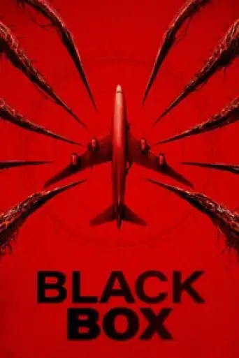 Black Box (2025) poster