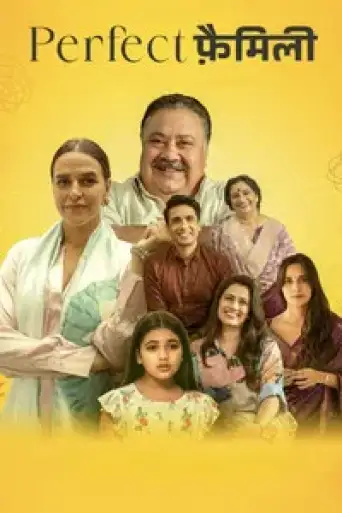 Perfect Family (Season 1) poster