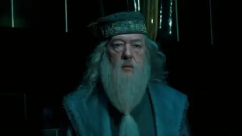 Harry-Potter-and-the-Order-of-the-Phoenix-2007-01_58_29_14.th.jpg