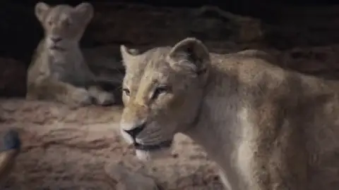The-Lion-King-2019-01_02_05_11.th.jpg