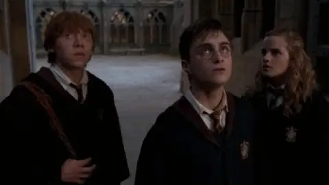 Harry-Potter-and-the-Order-of-the-Phoenix-2007-01_25_48_08.th.jpg