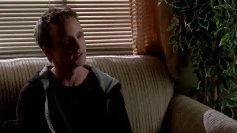 Download Breaking Bad Season 3 Hindi Dubbed HDRip ALL Episodes
