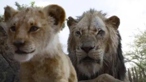 The-Lion-King-2019-00_16_39_03.th.jpg
