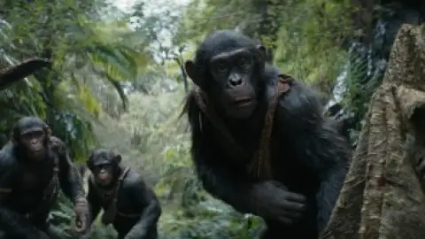 Download Kingdom of the Planet of the Apes Hindi Dubbed HDRip Full Movie