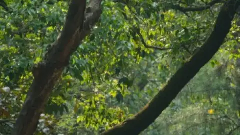 Shastry.Virudh.Shastry.2023.1080p.WEB-DL.5.1.ESub.x264-HDHub4u.Tv.mkv.0001.th.jpg